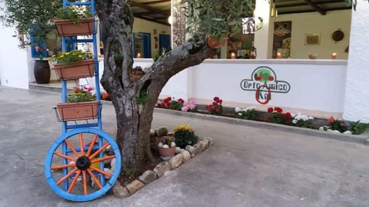 Village Valle D'Oro Aparthotel 圣梅纳伊欧 外观 照片